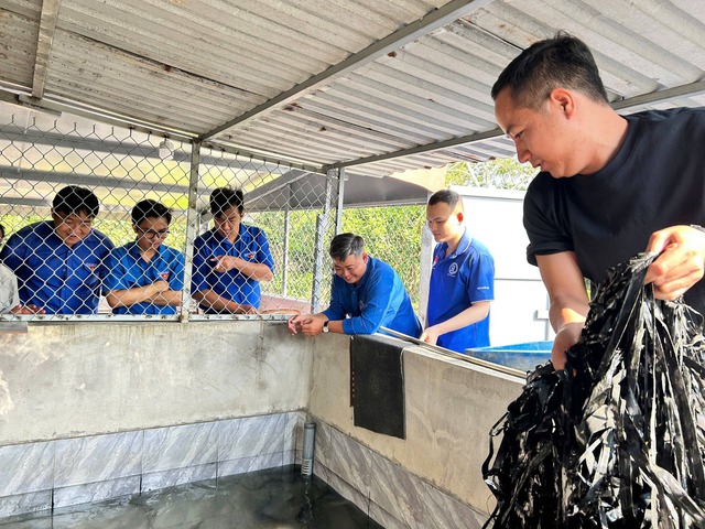Ch&agrave;ng trai m&aacute;t tay l&agrave;m 'b&agrave; mụ' cho cua đinh, b&aacute;n gần 500 con giống mỗi năm - Ảnh 4.