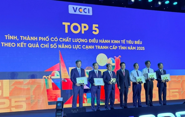 TP.HCM đứng đầu về chỉ số hiệu quả kinh tế tư nh&acirc;n- Ảnh 2.