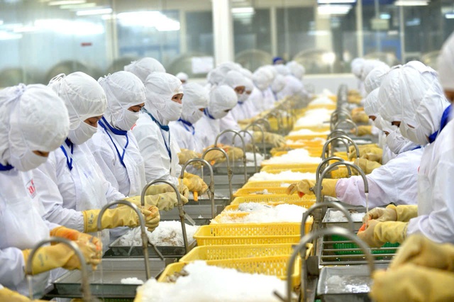 Xuất khẩu t&ocirc;m v&agrave;o Mỹ lại gặp kh&oacute;- Ảnh 1.