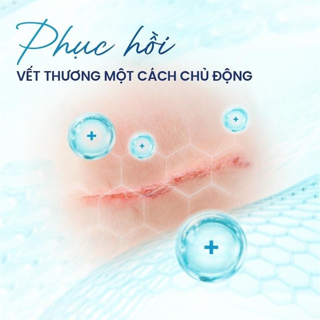 Giải m&atilde; &lsquo;cuộc chiến&rsquo; vi m&ocirc; tại vết thương: Khi sự kiểm so&aacute;t quyết định phục hồi - Ảnh 3.