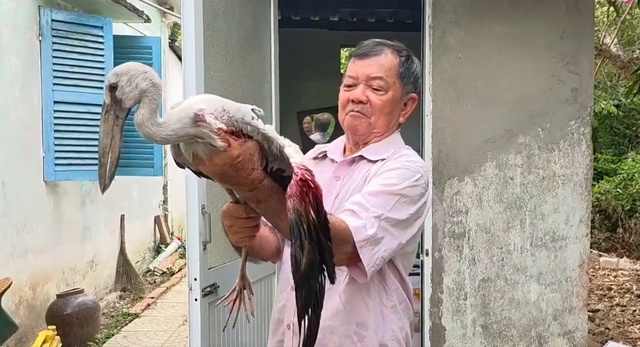 L&atilde;o n&ocirc;ng 80 tuổi bất lực trước nạn săn bắn tại vườn chim vạc - Ảnh 1.