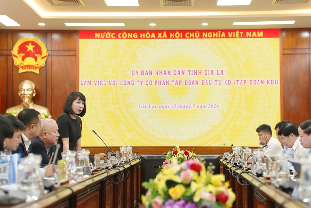KDI Group l&agrave;m việc với Gia Lai: Tiềm năng v&agrave; tư duy ph&aacute;t triển hệ sinh th&aacute;i - Ảnh 1.
