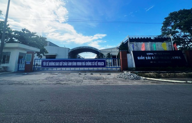 Đà Nẵng vào cuộc vụ doanh nghiệp giấy bị tố gây ô nhiễm môi trường - Ảnh 1.