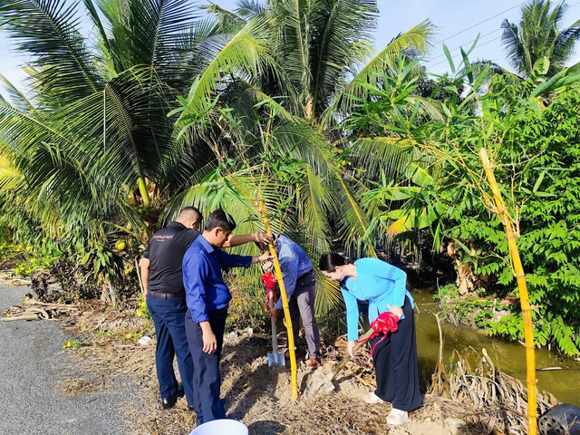 Trồng tre Đằng Ngà, tre Mạnh Tông nhân ngày sinh nhật Bác Hồ- Ảnh 2. Trồng tre Đằng Ngà, tre Mạnh Tông nhân ngày sinh nhật Bác Hồ- Ảnh 2.