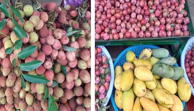 Thực hư việc ăn sầu riêng, mận, vải... dễ nổi mụn - Ảnh 1.