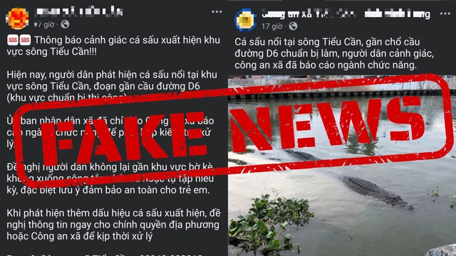 Th&ocirc;ng tin c&aacute; sấu tr&ecirc;n s&ocirc;ng ở Vĩnh Long: Do nam thanh ni&ecirc;n 22 tuổi d&agrave;n dựng- Ảnh 3.