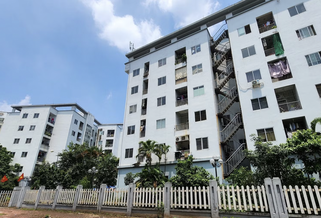 Nhà ở cho thuê: Cung không đủ cầu- Ảnh 1. Nhà ở cho thuê: Cung không đủ cầu- Ảnh 1.