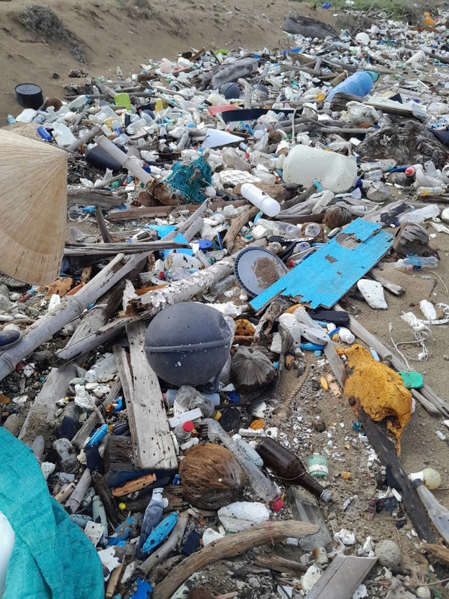 Nhân viên vệ sinh môi trường giải cứu 2 con đồi mồi quý hiếm bị mắc lưới - Ảnh 2.