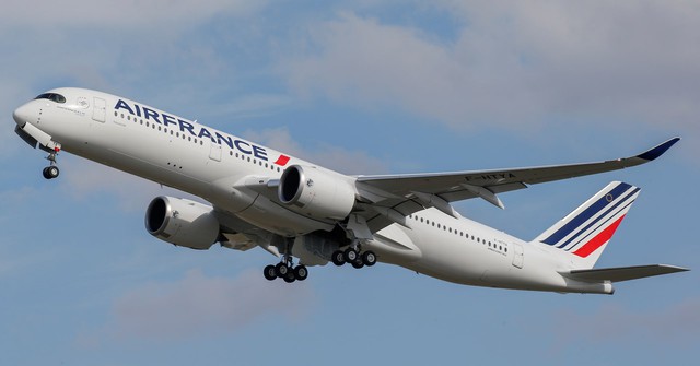 Mỹ chặn một chuyến bay của Air France vì lo ngại dịch Ebola - Ảnh 1.