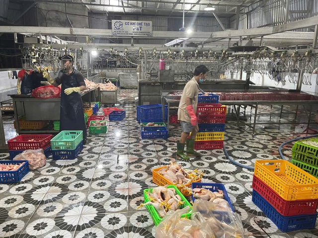 Bất ngờ bên trong cơ sở giết mổ gia cầm được đầu tư 'bài bản' ở TP.HCM - Ảnh 1.