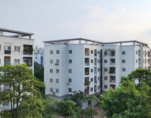 Vì sao doanh nghiệp 'ngại' làm nhà ở cho thuê? - Ảnh 1.