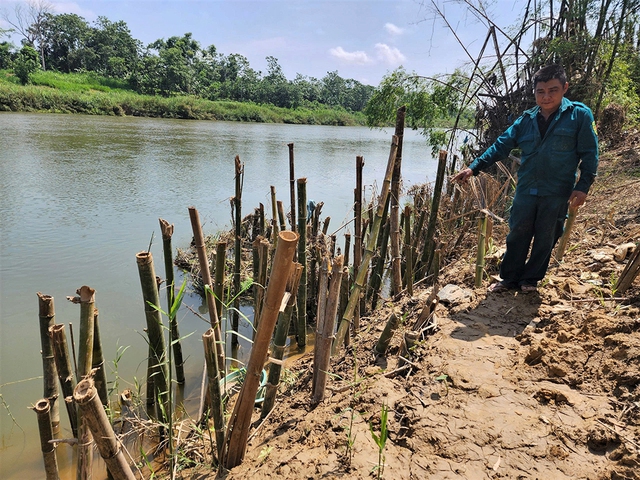 Người dân lo lắng vì bờ sông sạt lở- Ảnh 2. Người dân lo lắng vì bờ sông sạt lở- Ảnh 2.