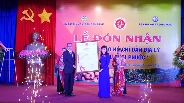  Nơi có hạt điều "ngon nhất thế giới" - Ảnh 4.