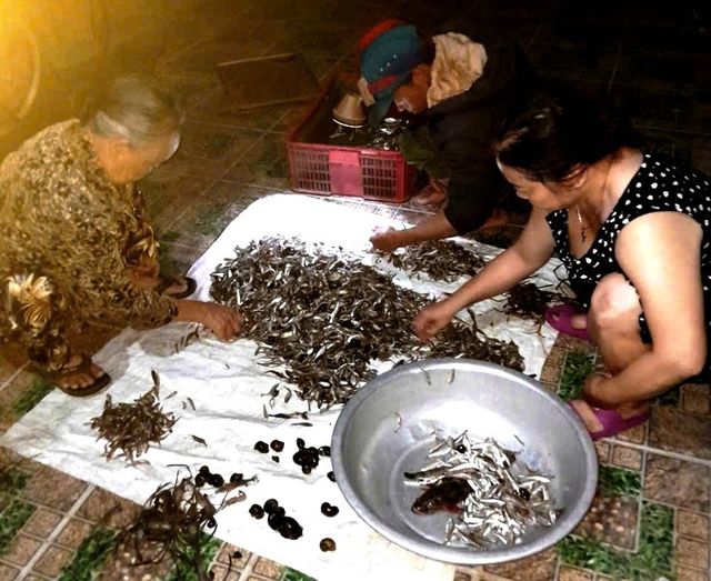 Nghề rim cá bống trứ danh hồ Lắk - Ảnh 1.