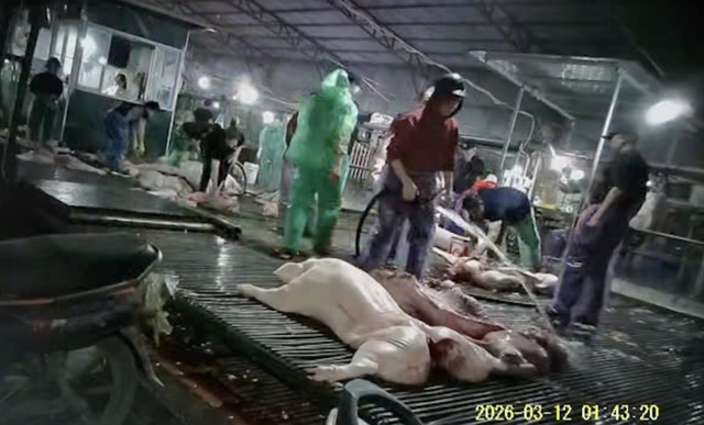 Tăng mức phạt tù với tội liên quan thực phẩm bẩn - Ảnh 1.