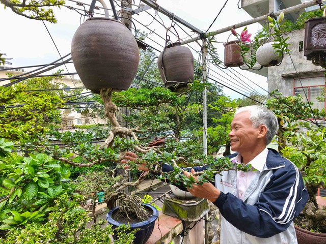 Chuyện người làm nghề độc lạ: Kỷ lục gia viết sách về bonsai ngược- Ảnh 3. Chuyện người làm nghề độc lạ: Kỷ lục gia viết sách về bonsai ngược- Ảnh 3.