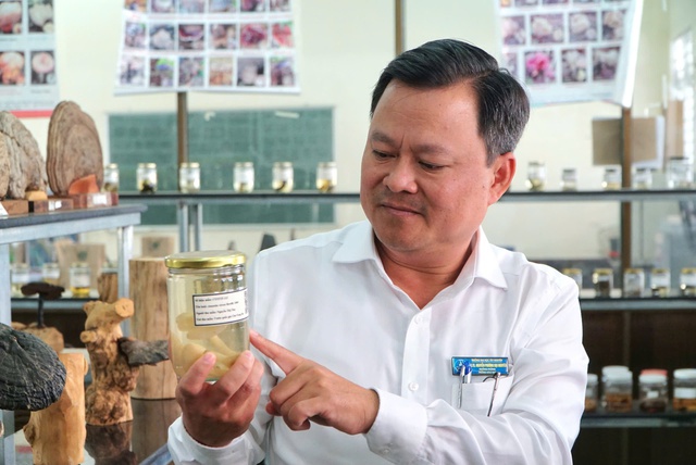 'Hồi sinh' những lo&agrave;i nấm qu&yacute; - Ảnh 5.