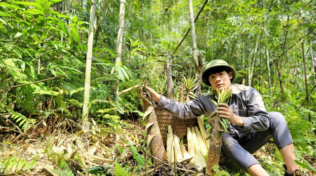'L&agrave;ng số' ở Tuy&ecirc;n Quang- Ảnh 2.