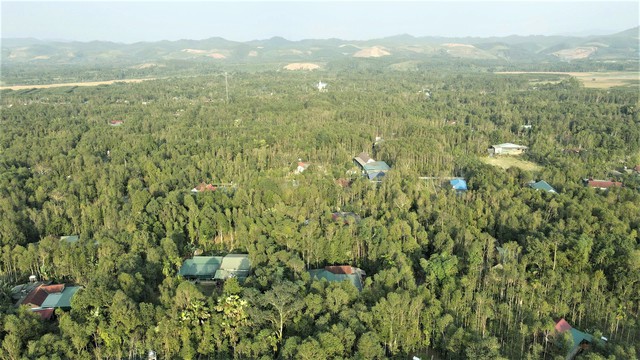 Nghề trầm dưới dãy Trường Sơn: Từ linh khí đại ngàn đến báu vật trong vườn nhà- Ảnh 6. Nghề trầm dưới dãy Trường Sơn: Từ linh khí đại ngàn đến báu vật trong vườn nhà- Ảnh 6.
