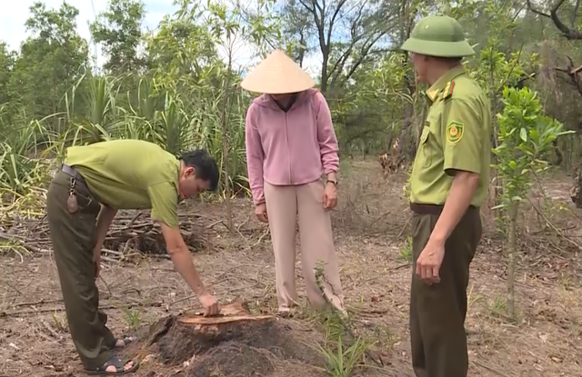 Rừng phòng hộ ven biển bị xâm hại  - Ảnh 4.