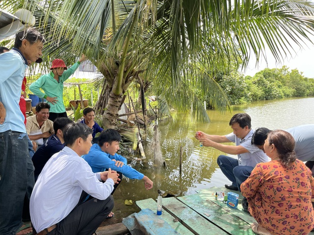 L&agrave;m gi&agrave;u từ nu&ocirc;i s&ograve; huyết dưới t&aacute;n rừng ở An Giang- Ảnh 5.