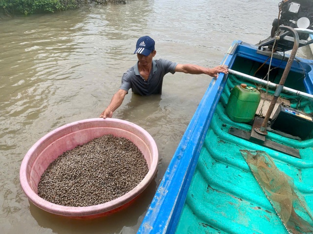 L&agrave;m gi&agrave;u từ nu&ocirc;i s&ograve; huyết dưới t&aacute;n rừng ở An Giang- Ảnh 4.