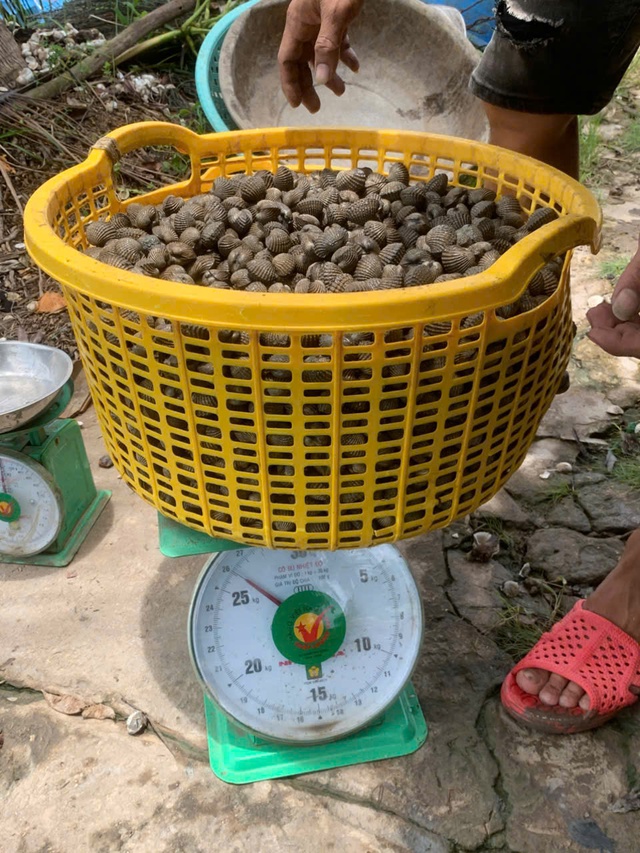 L&agrave;m gi&agrave;u từ nu&ocirc;i s&ograve; huyết dưới t&aacute;n rừng ở An Giang- Ảnh 8.