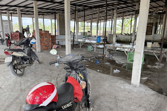 Lò giết mổ cạnh kho thuốc trừ sâu- Ảnh 1.