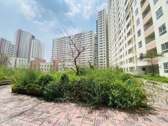 Hạn chế tối đa tình trạng nhà, đất tái định cư bỏ trống- Ảnh 1. Hạn chế tối đa tình trạng nhà, đất tái định cư bỏ trống- Ảnh 1.