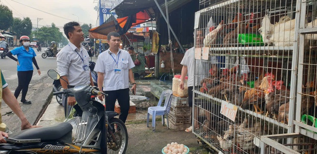 TP.HCM tổng kiểm tra giết mổ chợ Mỹ Phước 3, hàng chục sạp thịt vi phạm - Ảnh 2.