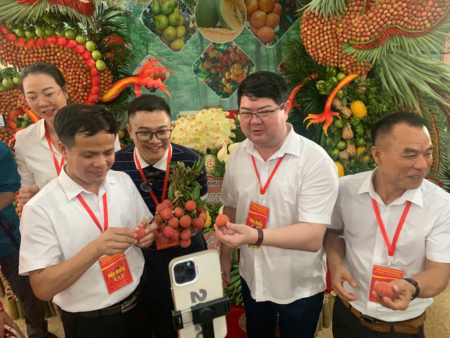 Tr&aacute;i vải Việt Nam l&agrave; 'mỹ vị nh&acirc;n gian', vải Quảng Đ&ocirc;ng chưa cạnh tranh được - Ảnh 2.