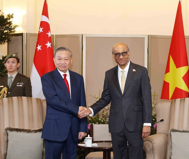 Làm sâu sắc quan hệ VN - Singapore - Ảnh 1.