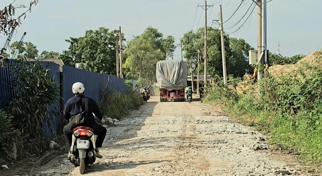Xe quá tải "băm" nát đường đê, tàu lớn làm sạt lở bờ sông tại Phú An - Ảnh 2.