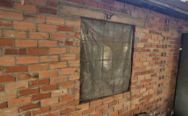 Xe quá tải "băm" nát đường đê, tàu lớn làm sạt lở bờ sông tại Phú An - Ảnh 3.