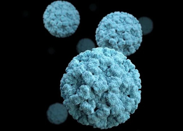Virus gây nôn mửa đang lây lan hầu hết nước Mỹ - Ảnh 1.