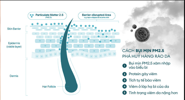 L&agrave;m sạch bụi mịn sau khi di chuyển nhiều ng&agrave;y nắng n&oacute;ng gi&uacute;p da khỏe, sạch s&acirc;u - Ảnh 2.