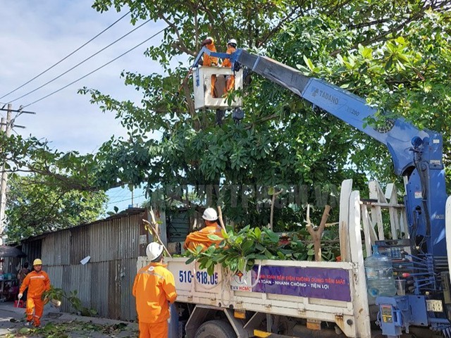 Những con người hát khúc tình ca ánh sáng - Ảnh 1.