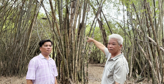 Bảo tồn vườn chim Vĩnh Phước: H&agrave;nh tr&igrave;nh 32 năm độc nhất của cựu chiến binh U.80- Ảnh 5.