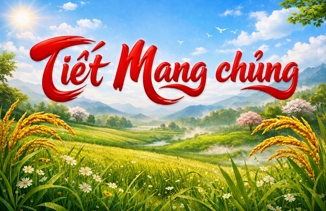 Lịch âm hôm nay 2.6: Thấy sao Tua Rua mọc, người Việt sắp đón tiết Mang chủng - Ảnh 1.