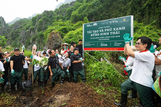 Forestival 2026: Khi những 'chiến binh' nhạc Việt tiến về miền di sản - Ảnh 6. Forestival 2026: Khi những 'chiến binh' nhạc Việt tiến về miền di sản - Ảnh 6.