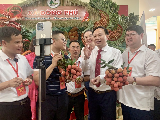 Giá vải 'nhảy múa', doanh nghiệp lo không đủ hàng xuất khẩu- Ảnh 1. Giá vải 'nhảy múa', doanh nghiệp lo không đủ hàng xuất khẩu- Ảnh 1.