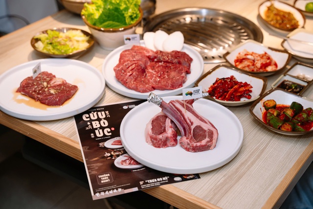 Hiệp hội &Uacute;c &lsquo;m&ecirc;&rsquo; thị trường Việt Nam - Ảnh 4.