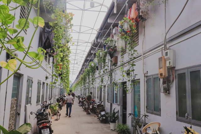 Tin vui cho người đi thu&ecirc; nh&agrave; trọ   - Ảnh 1.