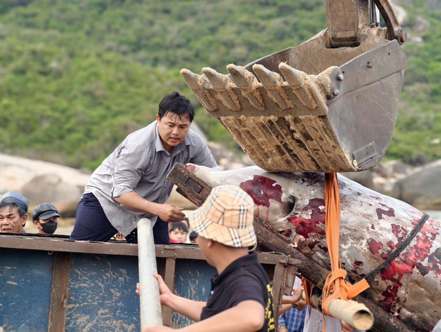 400 người l&agrave;m đ&aacute;m tang cho c&aacute; &Ocirc;ng- Ảnh 4.