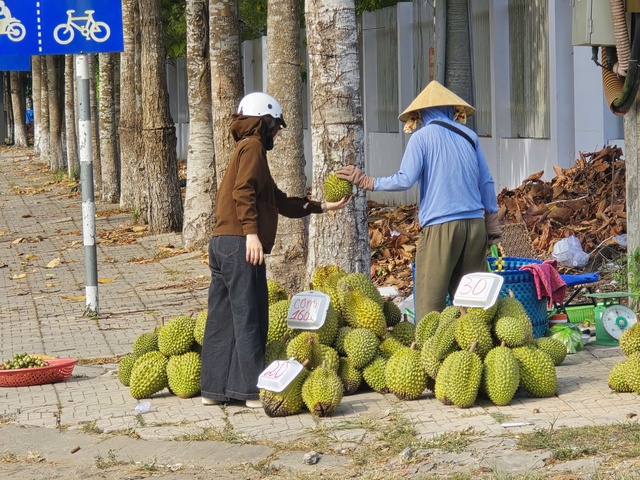 Sầu ri&ecirc;ng rớt gi&aacute;, nh&agrave; vườn miền mang ra lề đường b&aacute;n lẻ- Ảnh 1.