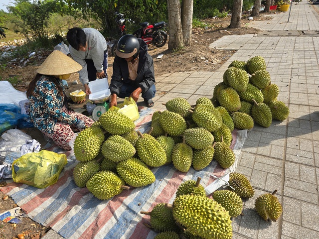 Sầu ri&ecirc;ng rớt gi&aacute;, nh&agrave; vườn miền mang ra lề đường b&aacute;n lẻ- Ảnh 4.