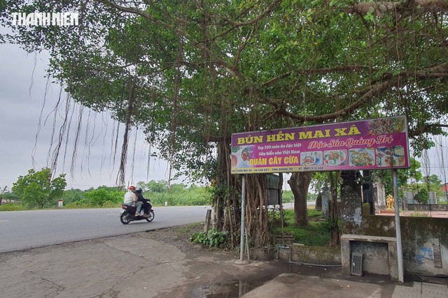 Bún hến Mai Xá: Món ngon Quảng Trị nổi tiếng vì cách trộn khác lạ- Ảnh 6. Bún hến Mai Xá: Món ngon Quảng Trị nổi tiếng vì cách trộn khác lạ- Ảnh 6.