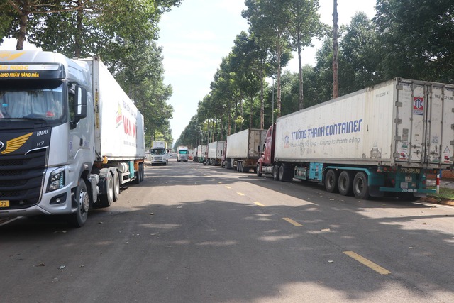 Xe container chở sầu ri&ecirc;ng chờ kiểm định để xuất khẩu đậu k&iacute;n bến xe Dầu Gi&acirc;y - Ảnh 1.