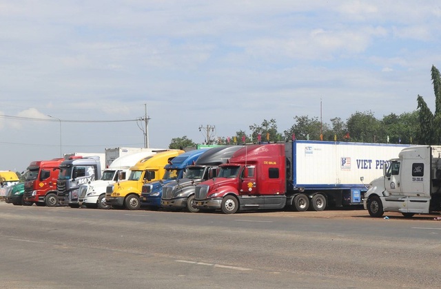 Xe container chở sầu ri&ecirc;ng chờ kiểm định để xuất khẩu đậu k&iacute;n bến xe Dầu Gi&acirc;y - Ảnh 2.