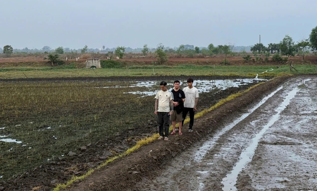 Bi&ecirc;n ph&ograve;ng T&acirc;y Ninh bắt 3 người từng l&agrave;m 's&ograve;ng b&agrave;i online' nhập cảnh tr&aacute;i ph&eacute;p- Ảnh 1.